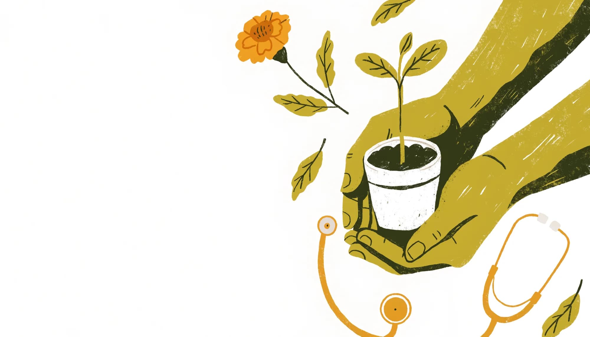 Illustration of two hands cradling a young seedling beside a stethoscope