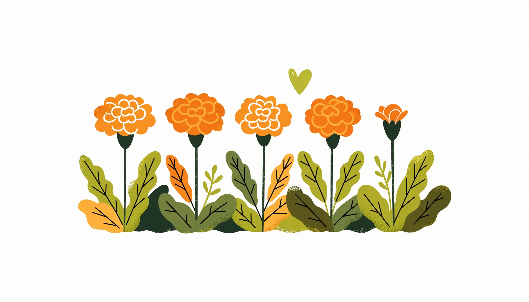 Illustration of five marigold flowers in a row, like a five-star rating